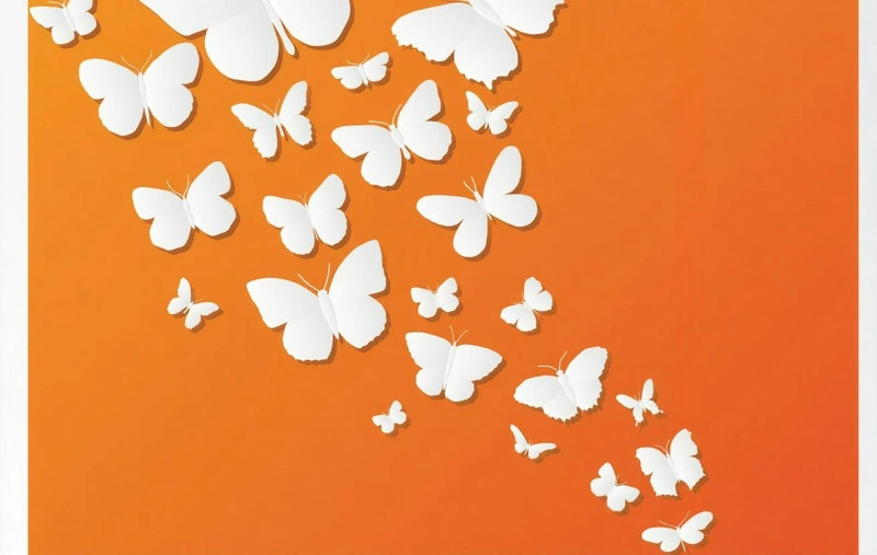 Dlaczego motyle w brzuchu umierają? Co dzieje się z miłością, gdy przestaje być nowa