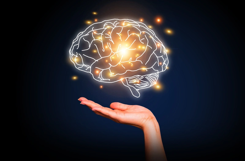 Czy twoje ręce uczyniły cię człowiekiem bardziej niż mózg?